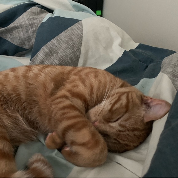 ABOUT ME - Picture 5 of 15